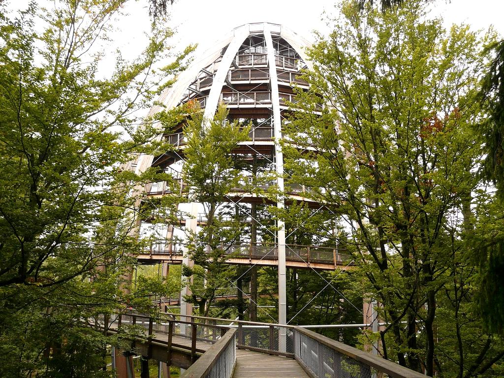 Students learning with digital devices and notebooks