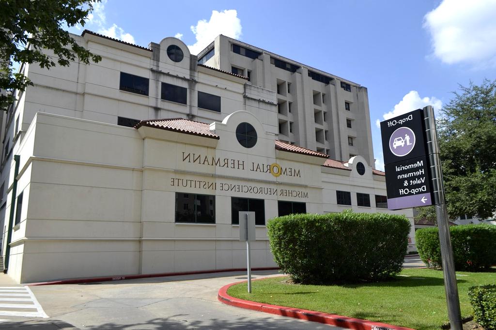 Infographic of the methodology process steps and neuroscience concepts