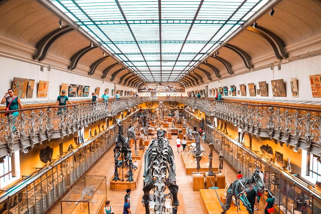 Visualization of brain networks and quantum symbols representing methodology science