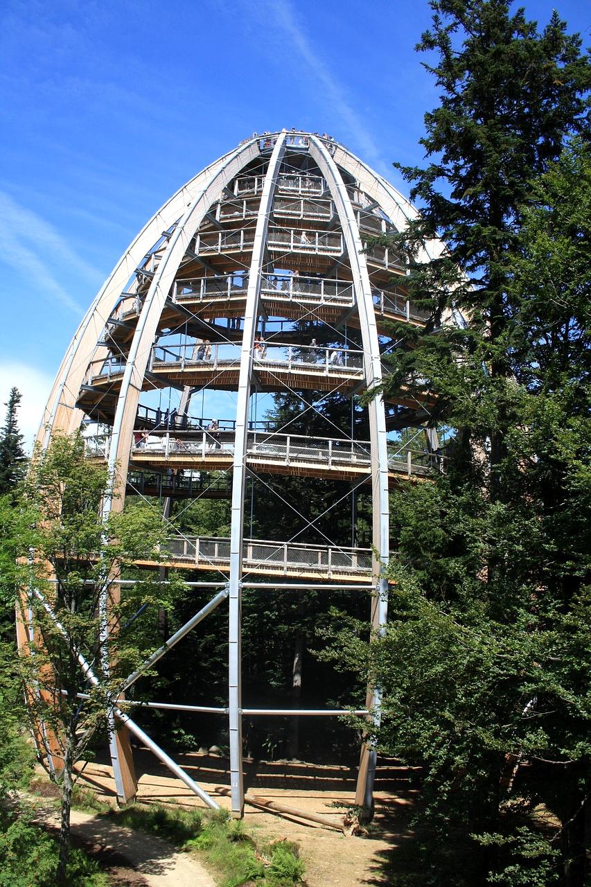 Dr. Elena Komnenos, quantum productivity researcher and certified practitioner from Vienna University